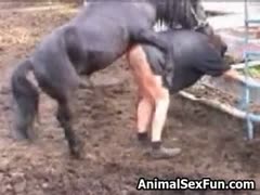 Brutal horse porn caught on cam with a slutty mature getting roughly fucked